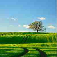 高​端‌客‌户‍礼​品‍推﻿荐﻿3000左‍右​